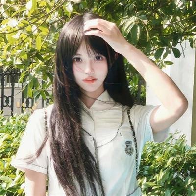 诺瓦利斯的蓝玫瑰