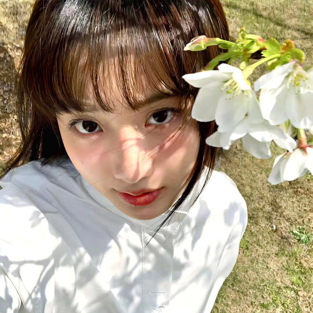 帝后互殴，但全宫都在磕CP